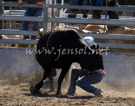 MoruyaRodeo2013One_0457_edited-1