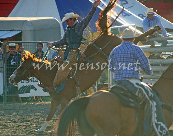 MoruyaRodeo2013Two_0338_edited-1