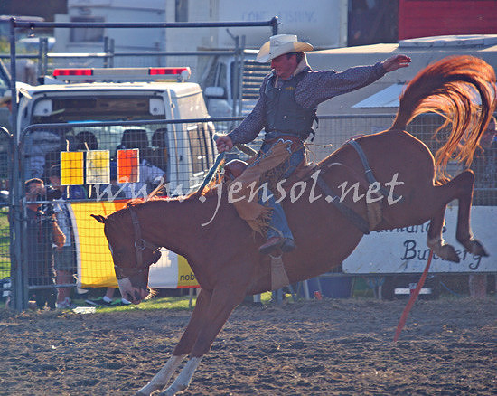 MoruyaRodeo2013Two_0340_edited-1