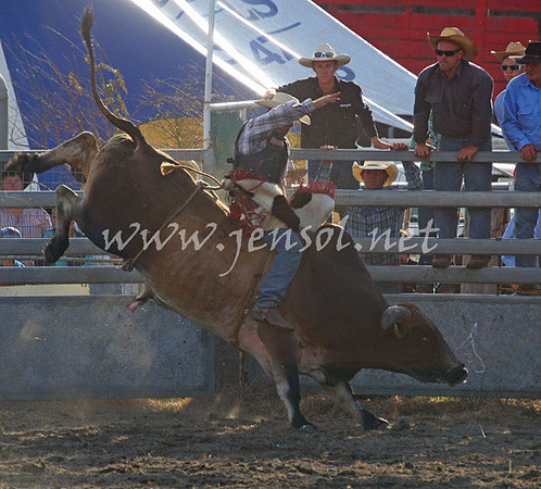 MoruyaRodeo2013Two_0093_edited-1