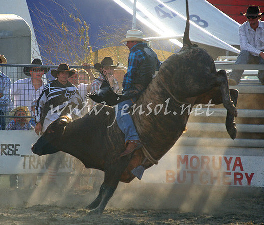 MoruyaRodeo2013Two_0054_edited-1