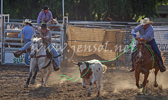MoruyaRodeo2013One_0958_edited-1