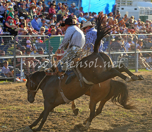 MoruyaRodeo2013Two_0317_edited-1
