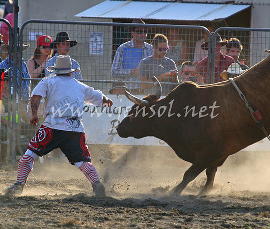 MoruyaRodeo2013Two_0087_edited-1