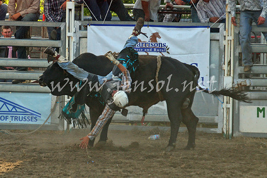 MoruyaRodeo2013Two_0147_edited-1