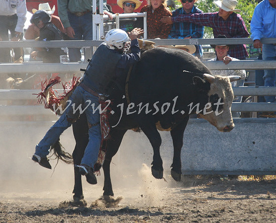 MoruyaRodeo2013One_0512_edited-1