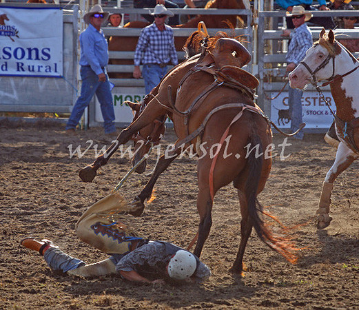 MoruyaRodeo2013One_0991_edited-1