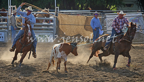 MoruyaRodeo2013One_0967_edited-1