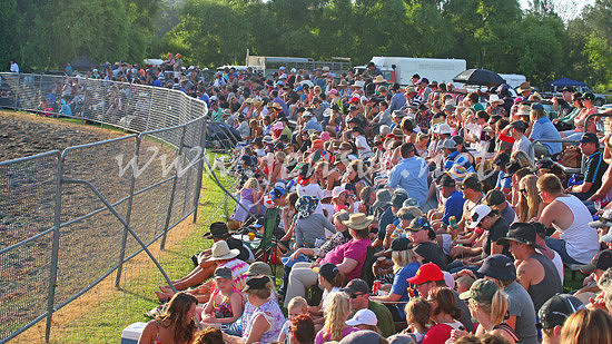 MoruyaRodeo2013Two_0174_edited-1