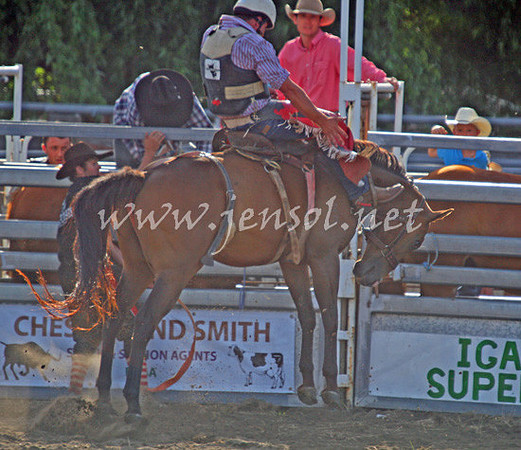 MoruyaRodeo2013One_1018_edited-1