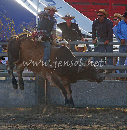 MoruyaRodeo2013Two_0092_edited-1