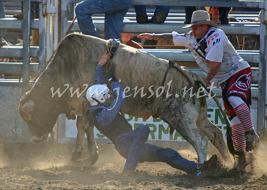 MoruyaRodeo2013One_0884_edited-1