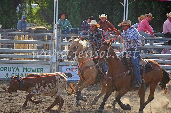 MoruyaRodeo2013One_0926_edited-1