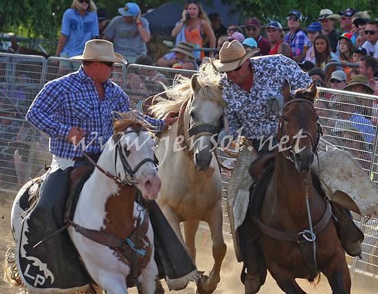 MoruyaRodeo2013One_1052_edited-1