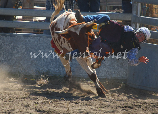 MoruyaRodeo2013One_0286_edited-1