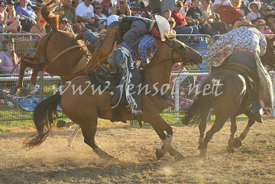 MoruyaRodeo2013Two_0367_edited-1