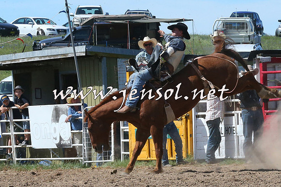 BungendoreRodeo2014_2079