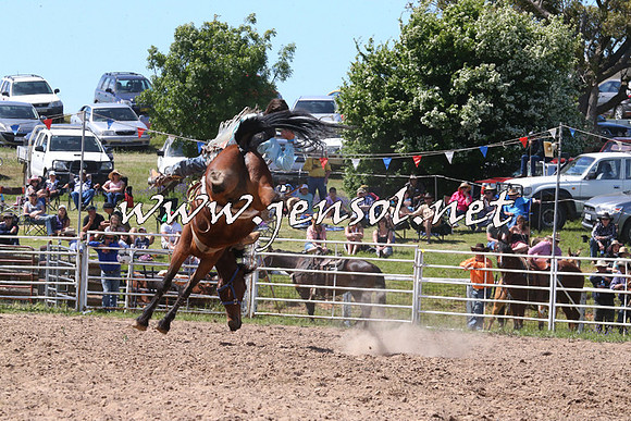 BungendoreRodeo2014_2106