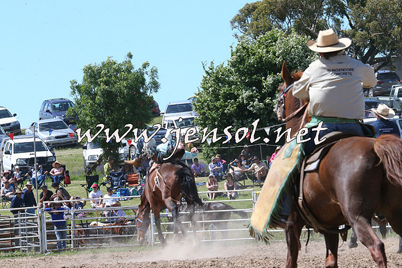 BungendoreRodeo2014_2113