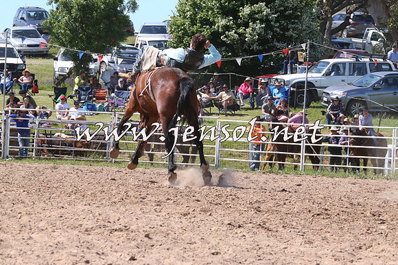 BungendoreRodeo2014_2108