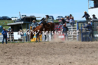 BungendoreRodeo2014_2080