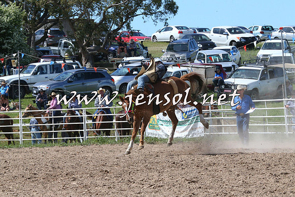 BungendoreRodeo2014_2151