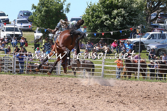 BungendoreRodeo2014_2107