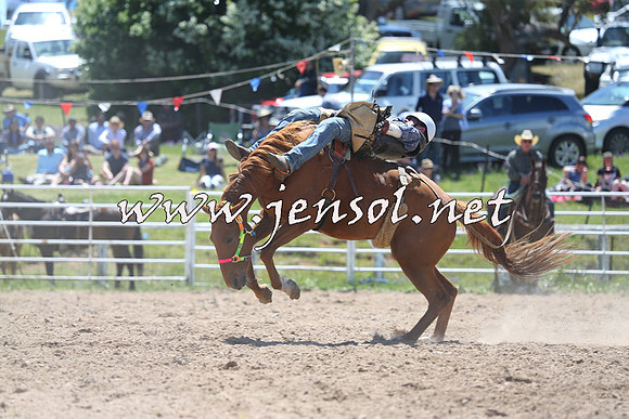 BungendoreRodeo2014_1081