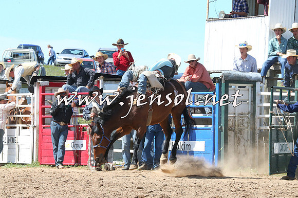 BungendoreRodeo2014_2102