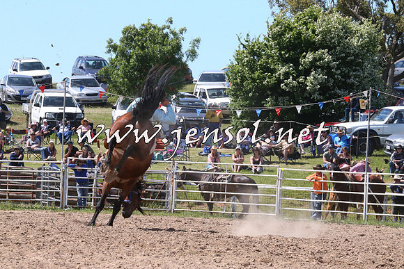 BungendoreRodeo2014_2110