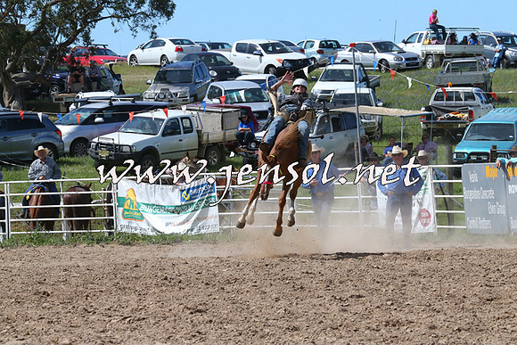 BungendoreRodeo2014_2145