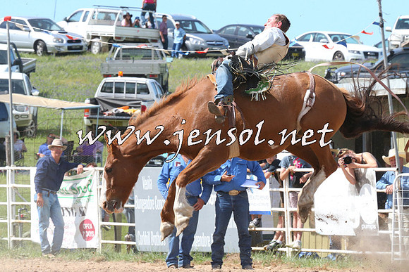 BungendoreRodeo2014_2163