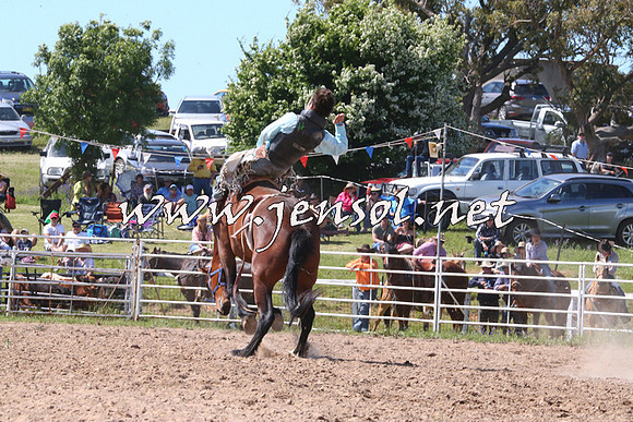 BungendoreRodeo2014_2109