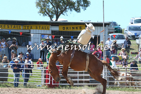 BungendoreRodeo2014_2137