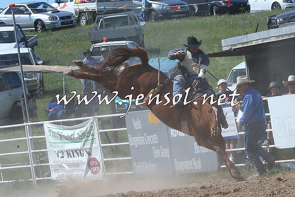 BungendoreRodeo2014_2086
