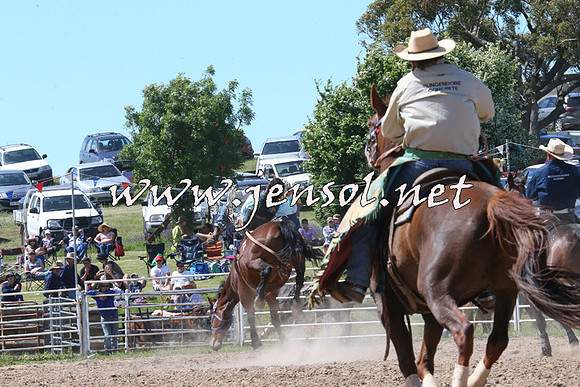 BungendoreRodeo2014_2114
