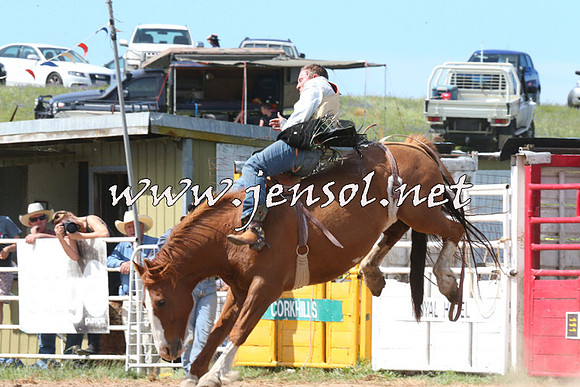 BungendoreRodeo2014_2165