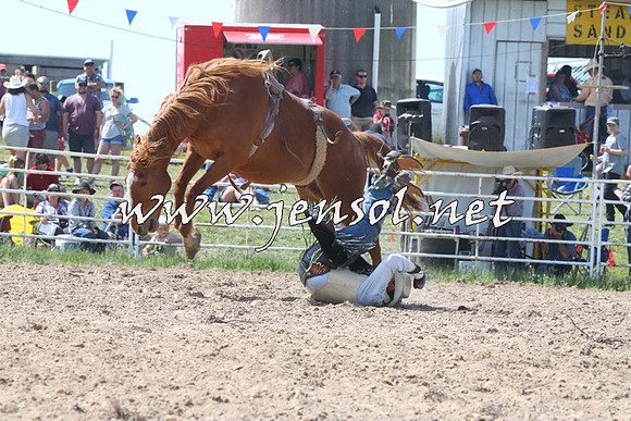 BungendoreRodeo2014_2141