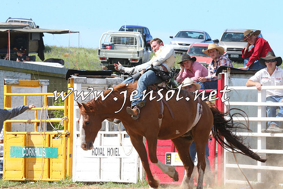 BungendoreRodeo2014_2164