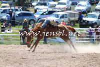 BungendoreRodeo2014_1080