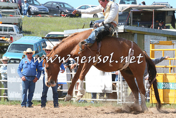 BungendoreRodeo2014_2159