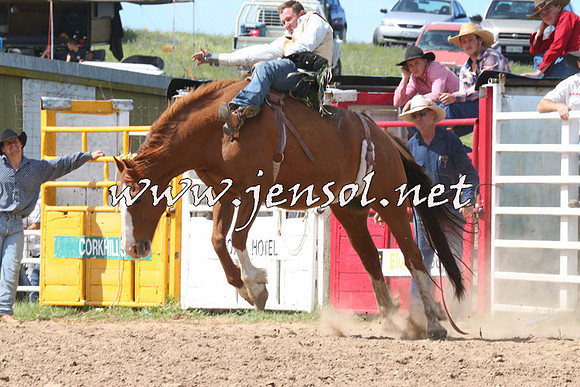 BungendoreRodeo2014_2166