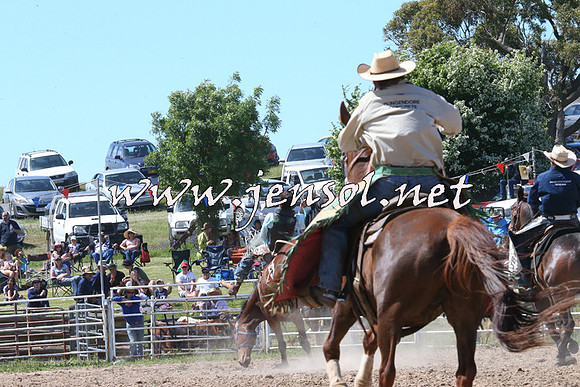 BungendoreRodeo2014_2112