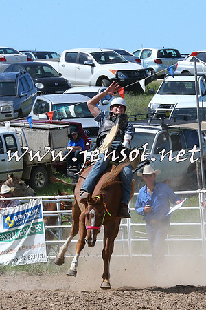 BungendoreRodeo2014_2146