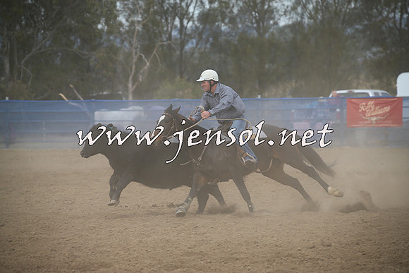 CountyCumberlandCampdraftSat_0335