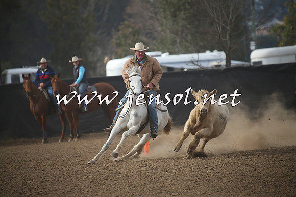CountyCumberlandCampdraftSat_0238