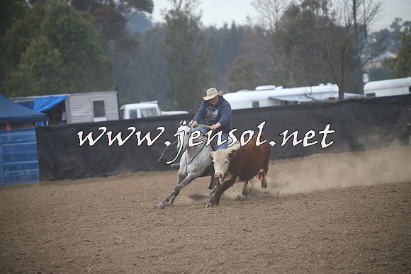 CountyCumberlandCampdraftSat_0146