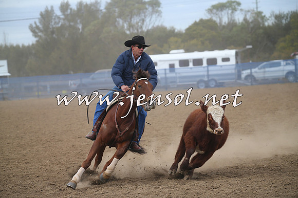 CountyCumberlandCampdraftSat_0314