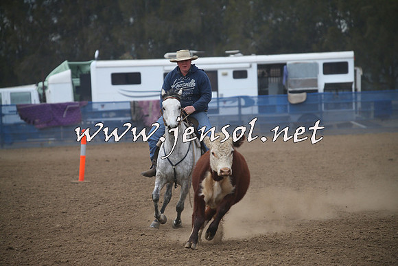 CountyCumberlandCampdraftSat_0131
