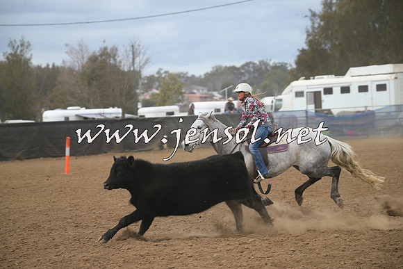 CountyCumberlandCampdraftSat_0552